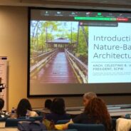 Build Back Biodiversity: Wetland Centers and Nature-Based Architecture