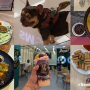 6 Pet-Friendly Food Destinations in SM City Manila To Munch on Good Food With Your Furbaby